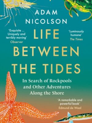 Life Between the Tides