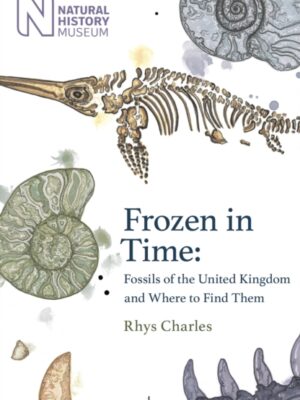Frozen in Time