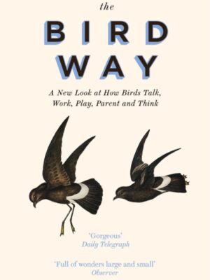 The Bird Way