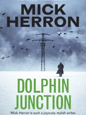 Dolphin Junction