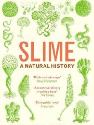 Slime