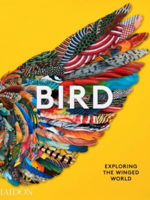 Bird, Exploring the Winged World