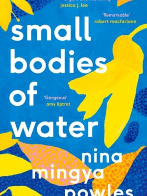 Small Bodies of Water