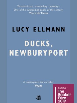 Ducks, Newburyport