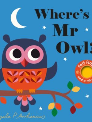 Where's Mr Owl?