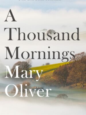 A Thousand Mornings