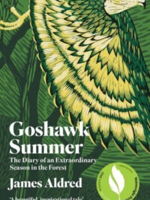 Goshawk Summer