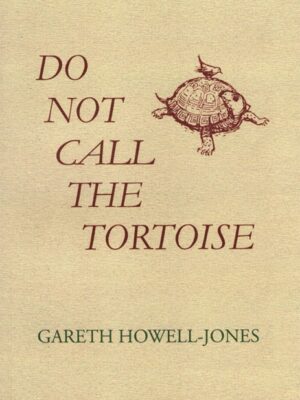 Do Not Call the Tortoise