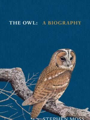 The Owl