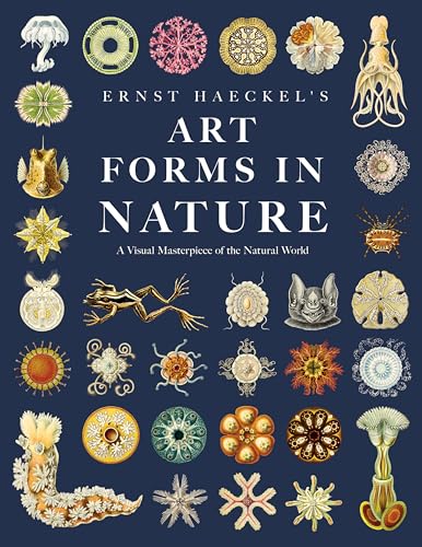 Art Forms in Nature
