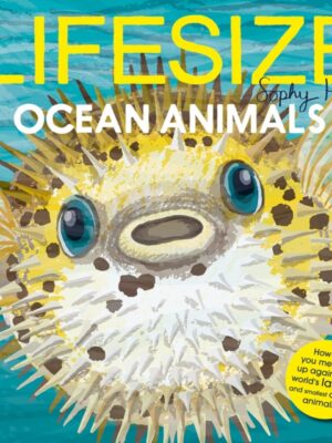 Lifesize Ocean Animals