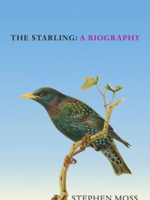 The Starling