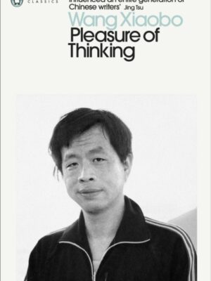 Pleasure of Thinking