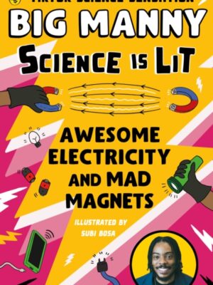 Awesome Electricity and Mad Magnets
