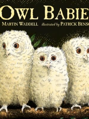 Owl Babies