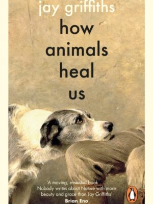 How Animals Heal Us