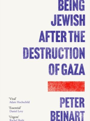 Being Jewish After the Destruction of Gaza
