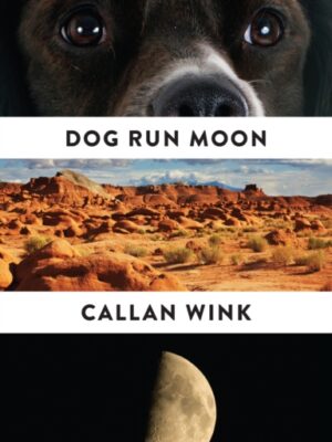 Dog Run Moon
