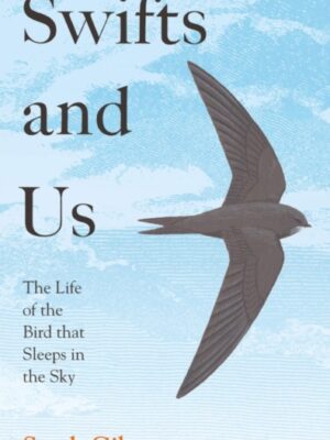 Swifts and Us
