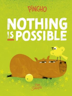 Pincho: Nothing IS Possible