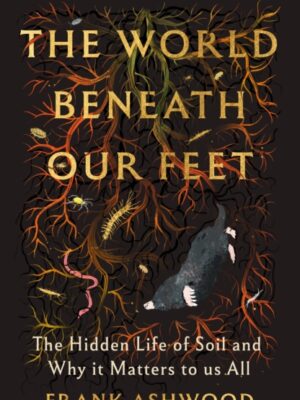 The World Beneath Our Feet